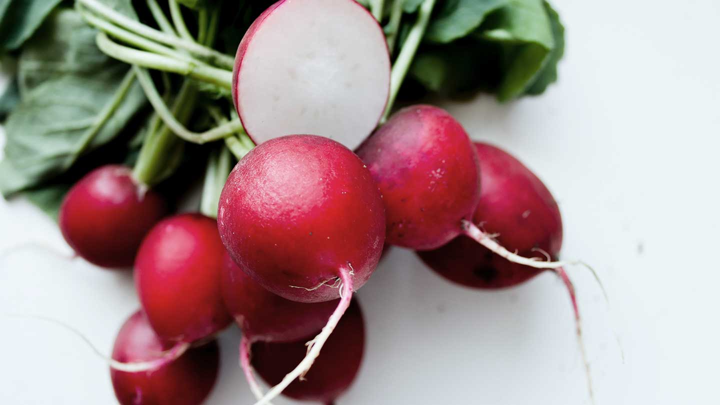 Rabanete